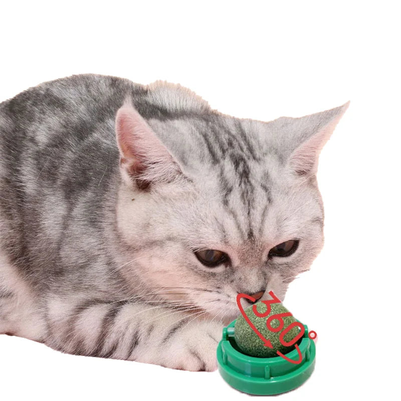 Boule à coller murale naturelle avec herbe à chat : jouet rotatif infusé à la menthe