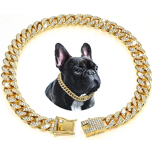 Chaîne de chien de luxe en or