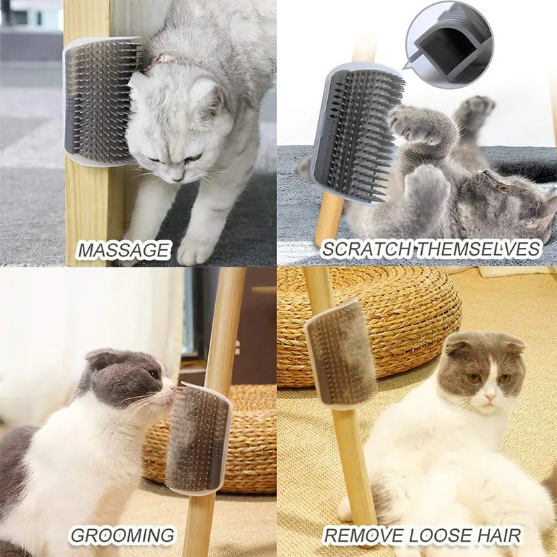 Brosse de massage pour animaux de compagnie avec fonction de nettoyage des coins amovibles