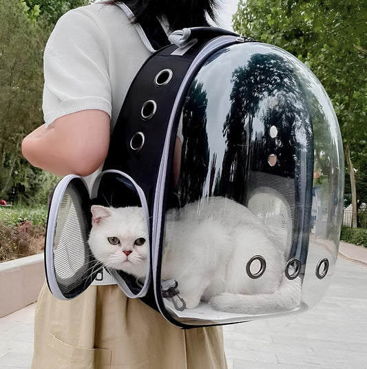 Porte-sac à dos transparent pour chat